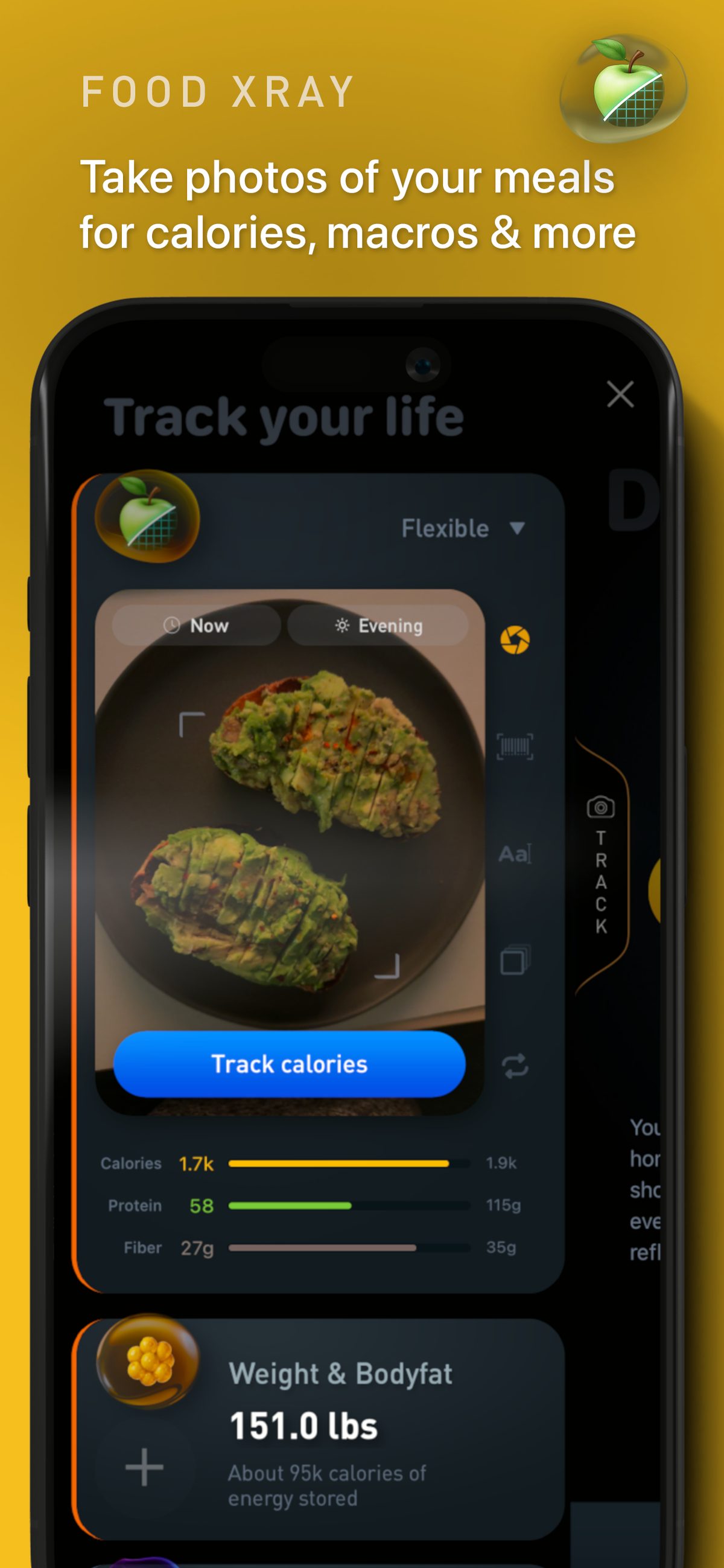 Gyroscope V7 composition: Food XRAY