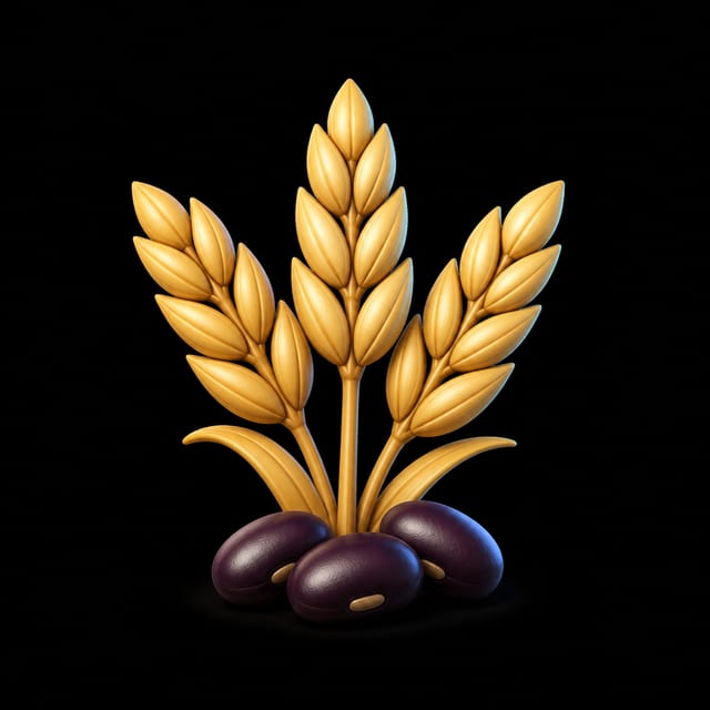 Grains and beans