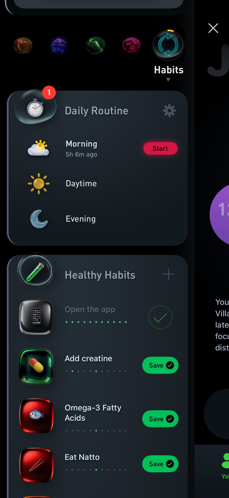 Gyroscope V9, coaching: Daily routine