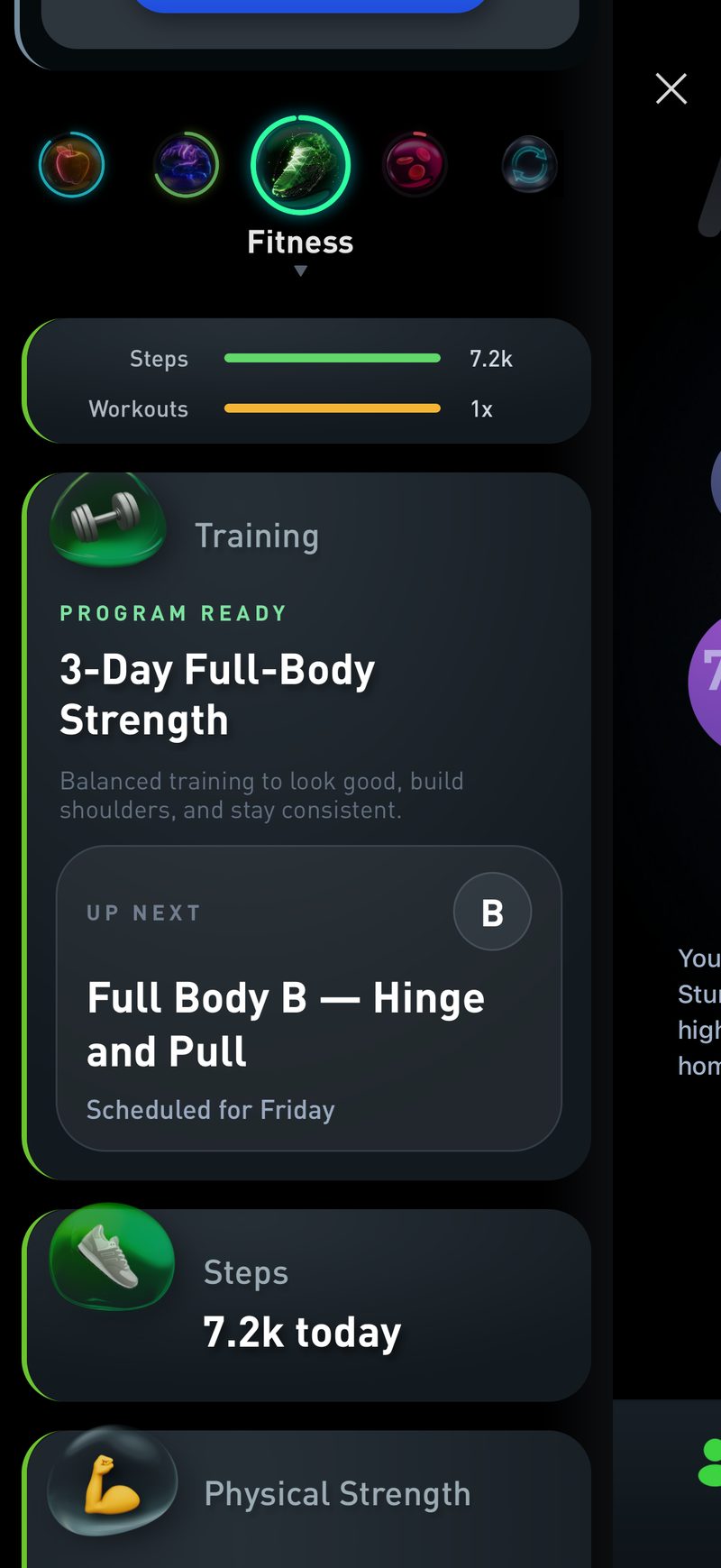 Gyroscope V10, fitness: Strength program