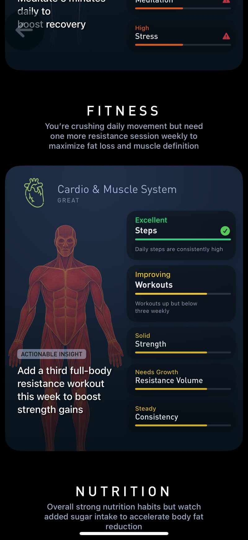 Gyroscope V8, fitness: Cardio and muscle